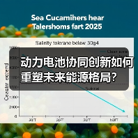 动力电池协同创新如何重塑未来能源格局?(图3) 动力电池协同创新如何重塑未来能源格局?(图3)