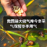 我国最大储气库今冬采气保障冬季用气(图1) 我国最大储气库今冬采气保障冬季用气(图1)