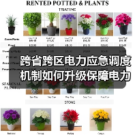 跨省跨区电力应急调度机制如何升级保障电力安全?(图1) 跨省跨区电力应急调度机制如何升级保障电力安全?(图1)