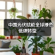 中国光伏赋能全球绿色低碳转型(图3) 中国光伏赋能全球绿色低碳转型(图3)