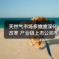 天然气市场多维度深化改革 产业链上市公司布局忙(图1) 天然气市场多维度深化改革 产业链上市公司布局忙(图1)