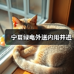 宁夏绿电外送内用并进(图2) 宁夏绿电外送内用并进(图2)