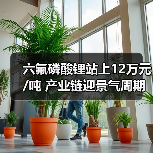 六氟磷酸锂站上12万元/吨 产业链迎景气周期(图1) 六氟磷酸锂站上12万元/吨 产业链迎景气周期(图1)