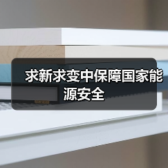 求新求变中保障国家能源安全(图3) 求新求变中保障国家能源安全(图3)