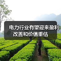 电力行业有望迎来盈利改善和价值重估(图4) 电力行业有望迎来盈利改善和价值重估(图4)