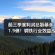 前三季度利润总额暴涨1.9倍！钢铁行业效益改善背后真相（图2）