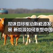 双碳目标驱动新能源发展 新能源如何重塑中国能源格局?(图3) 双碳目标驱动新能源发展 新能源如何重塑中国能源格局?(图3)