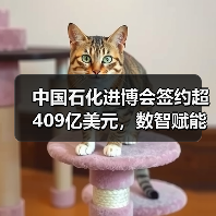 中国石化进博会签约超409亿美元,数智赋能如何引领能源转型?(图4) 中国石化进博会签约超409亿美元,数智赋能如何引领能源转型?(图4)