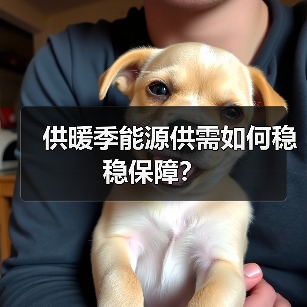 供暖季能源供需如何稳稳保障?(图2) 供暖季能源供需如何稳稳保障?(图2)