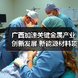广西加速关键金属产业创新发展 新能源材料项目落地推动产业升级(图3) 广西加速关键金属产业创新发展 新能源材料项目落地推动产业升级(图3)