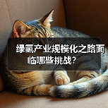 绿氢产业规模化之路面临哪些挑战?(图1) 绿氢产业规模化之路面临哪些挑战?(图1)