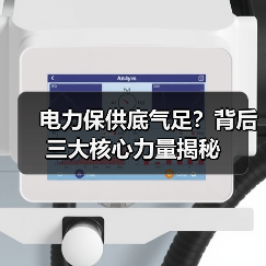 电力保供底气足?背后三大核心力量揭秘(图4) 电力保供底气足?背后三大核心力量揭秘(图4)