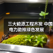 三大能源工程齐发 中国电力助推绿色发展(图3) 三大能源工程齐发 中国电力助推绿色发展(图3)