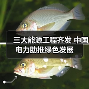 三大能源工程齐发 中国电力助推绿色发展(图1) 三大能源工程齐发 中国电力助推绿色发展(图1)
