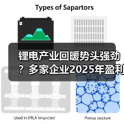 锂电产业回暖势头强劲?多家企业2025年盈利大增(图4) 锂电产业回暖势头强劲?多家企业2025年盈利大增(图4)