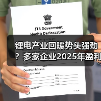 锂电产业回暖势头强劲?多家企业2025年盈利大增(图2) 锂电产业回暖势头强劲?多家企业2025年盈利大增(图2)