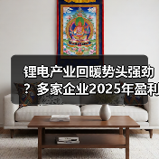 锂电产业回暖势头强劲?多家企业2025年盈利大增(图3) 锂电产业回暖势头强劲?多家企业2025年盈利大增(图3)