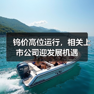 钨价高位运行,相关上市公司迎发展机遇(图4) 钨价高位运行,相关上市公司迎发展机遇(图4)