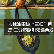 吉林油田破“三低”困局 三分策略引领绿色发展新征程(图1) 吉林油田破“三低”困局 三分策略引领绿色发展新征程(图1)