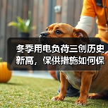 冬季用电负荷三创历史新高,保供措施如何保障民生?(图3) 冬季用电负荷三创历史新高,保供措施如何保障民生?(图3)