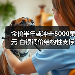 金价半年或冲击5000美元 白银铜价结构性支撑增强(图4) 金价半年或冲击5000美元 白银铜价结构性支撑增强(图4)