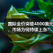 国际金价突破4800美元，市场为何持续上涨？（图2）