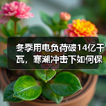 冬季用电负荷破14亿千瓦,寒潮冲击下如何保障供电?(图4) 冬季用电负荷破14亿千瓦,寒潮冲击下如何保障供电?(图4)
