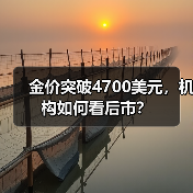 金价突破4700美元,机构如何看后市?(图4) 金价突破4700美元,机构如何看后市?(图4)