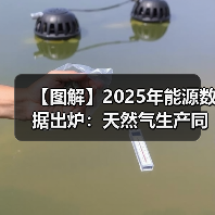 【图解】2025年能源数据出炉：天然气生产同比增长6.2%（图3）
