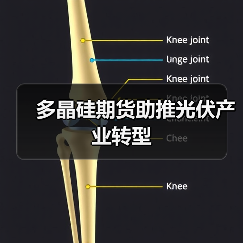 多晶硅期货助推光伏产业转型(图4) 多晶硅期货助推光伏产业转型(图4)