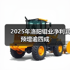 2025年洛阳钼业净利润预增逾四成(图3) 2025年洛阳钼业净利润预增逾四成(图3)