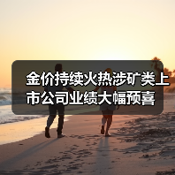 金价持续火热涉矿类上市公司业绩大幅预喜（图4）