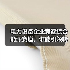 电力设备企业竞逐综合能源赛道,谁能引领转型?(图1) 电力设备企业竞逐综合能源赛道,谁能引领转型?(图1)