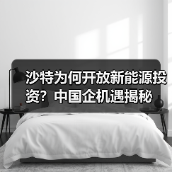 沙特为何开放新能源投资?中国企机遇揭秘(图2) 沙特为何开放新能源投资?中国企机遇揭秘(图2)