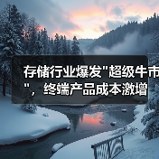 存储行业爆发 存储行业爆发