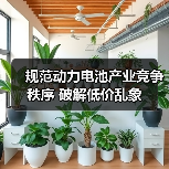 规范动力电池产业竞争秩序 破解低价乱象(图2) 规范动力电池产业竞争秩序 破解低价乱象(图2)