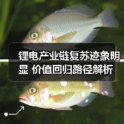 锂电产业链复苏迹象明显 价值回归路径解析(图4) 锂电产业链复苏迹象明显 价值回归路径解析(图4)