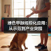 绿色甲醇规模化应用:从示范到产业突围(图4) 绿色甲醇规模化应用:从示范到产业突围(图4)