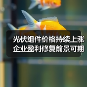 光伏组件价格持续上涨 企业盈利修复前景可期(图1) 光伏组件价格持续上涨 企业盈利修复前景可期(图1)
