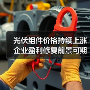 光伏组件价格持续上涨 企业盈利修复前景可期(图4) 光伏组件价格持续上涨 企业盈利修复前景可期(图4)
