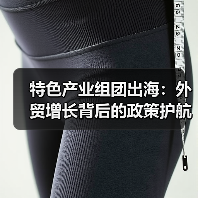 特色产业组团出海:外贸增长背后的政策护航(图2) 特色产业组团出海:外贸增长背后的政策护航(图2)