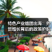 特色产业组团出海:外贸增长背后的政策护航(图4) 特色产业组团出海:外贸增长背后的政策护航(图4)