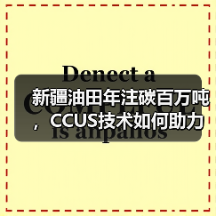 新疆油田年注碳百万吨,CCUS技术如何助力双碳目标?(图3) 新疆油田年注碳百万吨,CCUS技术如何助力双碳目标?(图3)