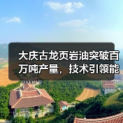 大庆古龙页岩油突破百万吨产量,技术引领能源新变革(图4) 大庆古龙页岩油突破百万吨产量,技术引领能源新变革(图4)