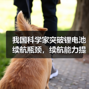 我国科学家突破锂电池续航瓶颈,续航能力提升2至3倍(图4) 我国科学家突破锂电池续航瓶颈,续航能力提升2至3倍(图4)