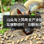 汕头海上风电全产业链发展新标杆:创新融合引领绿色未来(图1) 汕头海上风电全产业链发展新标杆:创新融合引领绿色未来(图1)