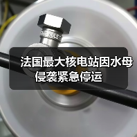 法国最大核电站因水母侵袭紧急停运(图1) 法国最大核电站因水母侵袭紧急停运(图1)