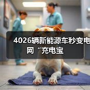 4026辆新能源车秒变电网“充电宝(图3) 4026辆新能源车秒变电网“充电宝(图3)